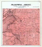 Blooming Grove Township, Dane County 1899
